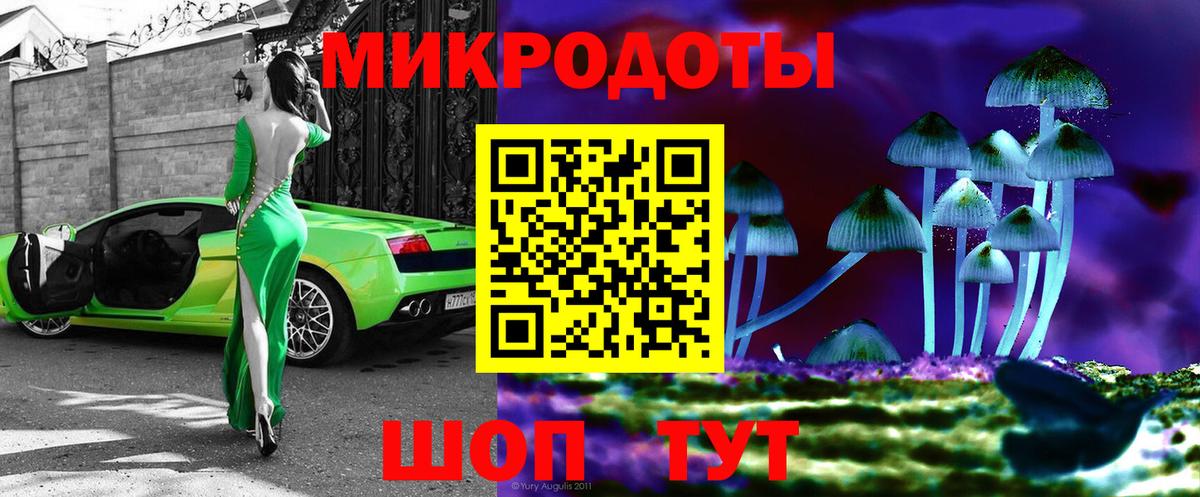 Саров  Псилоцибиновые грибы мицелий  Вход с VPN 