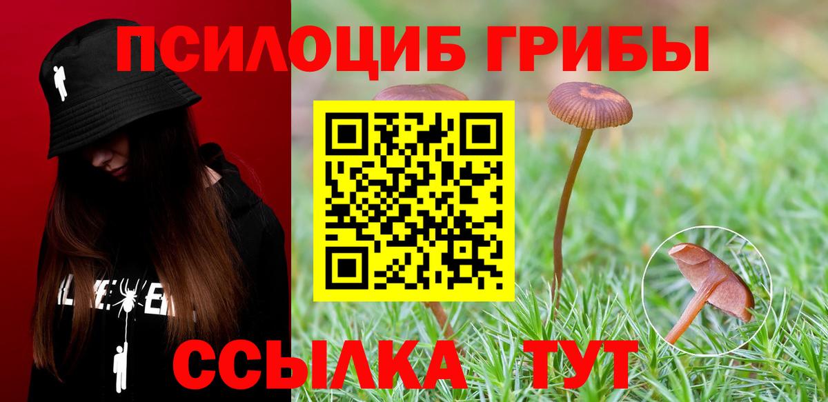 Галлюциногенные грибы Magic Shrooms Саров